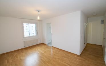 Apartment 1 room - image - 4