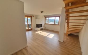 Duplex 5.5 rooms - image - 2