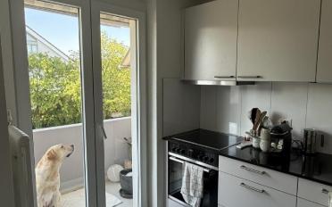 Duplex 3.5 rooms - image - 6