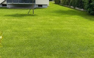 Wohnung 3 Zimmer - image - 10