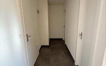 Wohnung 2.5 Zimmer - image - 2