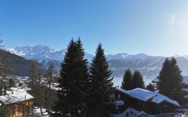 Chalet 6 Zimmer - image - 5