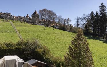 Villa 5.5 pièces - image - 2