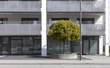 Immeuble résidentiel 4.5 pièces - image - 3