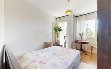 Doppeleinfamilienhaus 7 Zimmer - image - 10