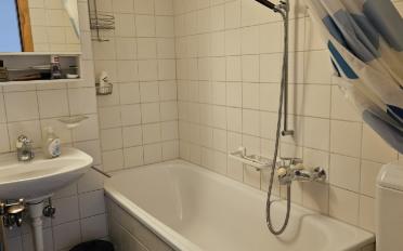 Duplex 3 Zimmer - image - 9