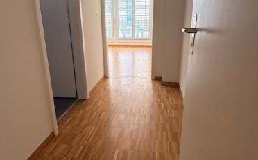 Wohnung 3.5 Zimmer - image - 2