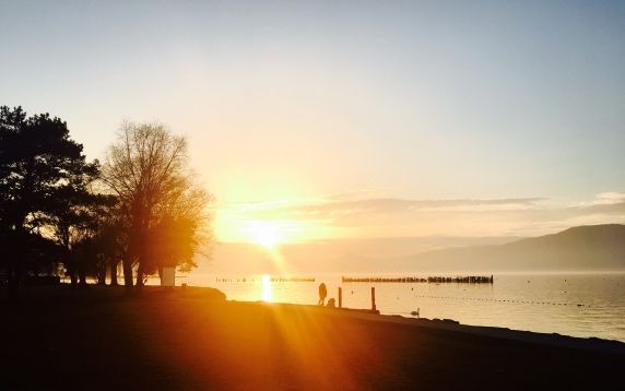 Parcourez la nature sauvage au rythme lent des calèches