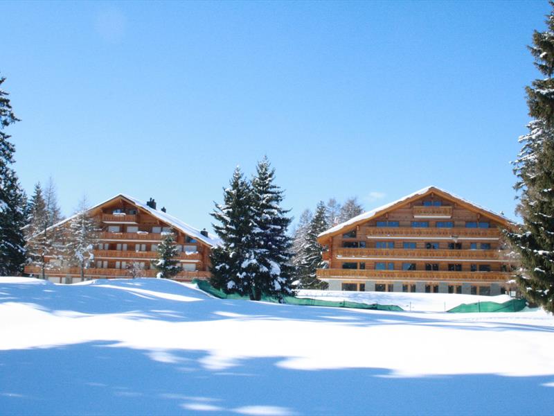 Agence Immobilière Barras